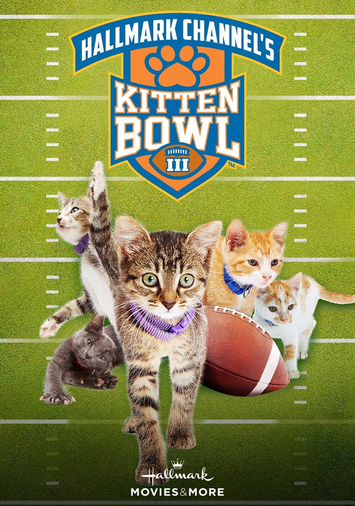 Kitten Bowl III streaming where to watch online?